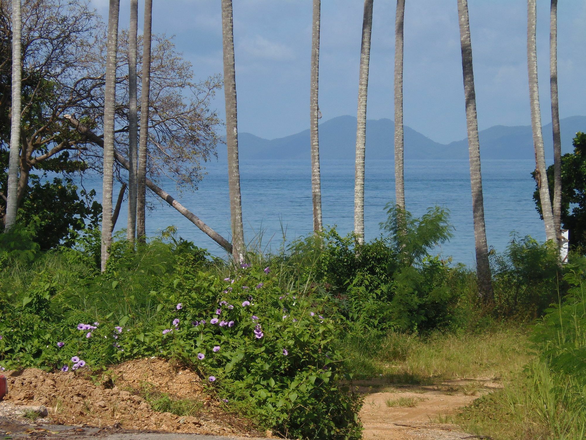 Elephants End Guesthouse Krabi Ao Nang Εξωτερικό φωτογραφία